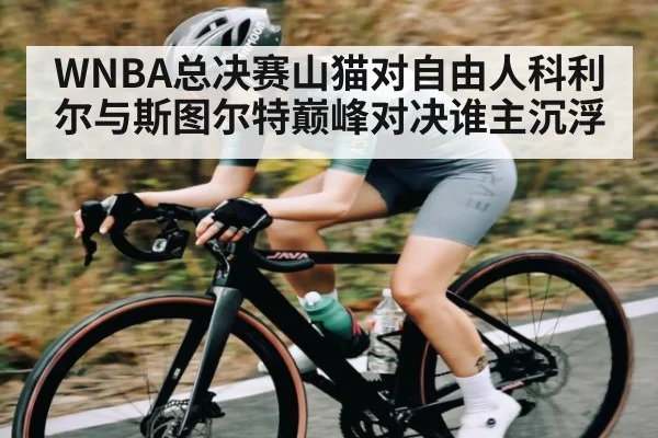 WNBA总决赛山猫对自由人科利尔与斯图尔特巅峰对决谁主沉浮