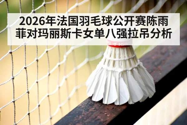 badminton shuttlecock net court